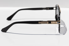 Load image into Gallery viewer, Eyewear Collection #2: THE HARPUTS ((polarized))
